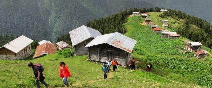 Doğu Karadeniz Yaylaları